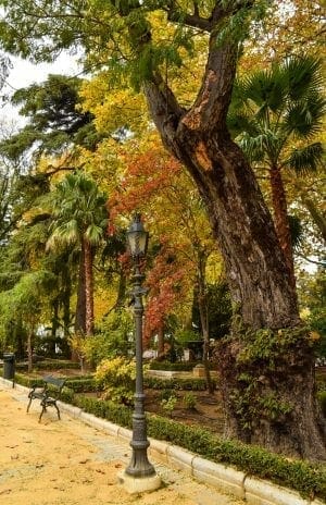 Ronda Spain, What to see in Ronda, Spain in One Day