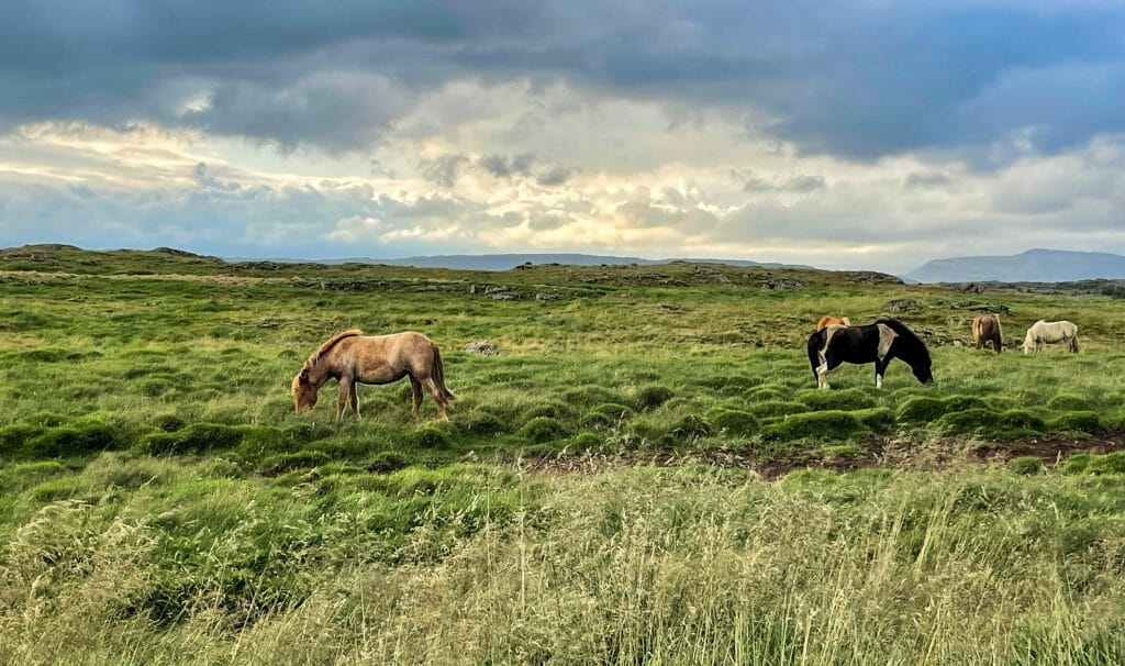 Ideal season for Iceland, Discover the Ideal Season to Explore Iceland