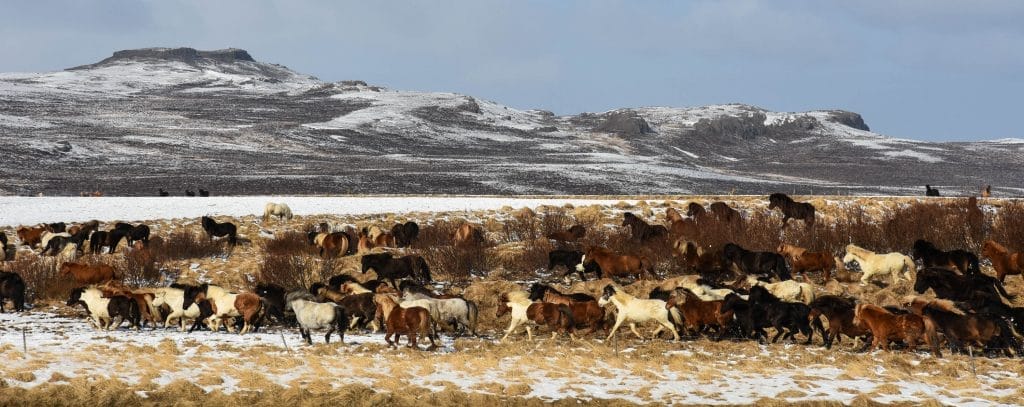 Ideal season for Iceland