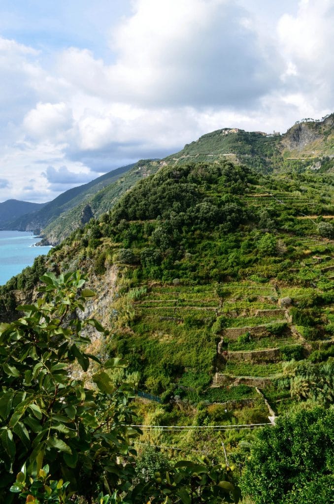 Cinque Terre, Cinque Terre: A Journey through Italy&#8217;s Five Charming Villages