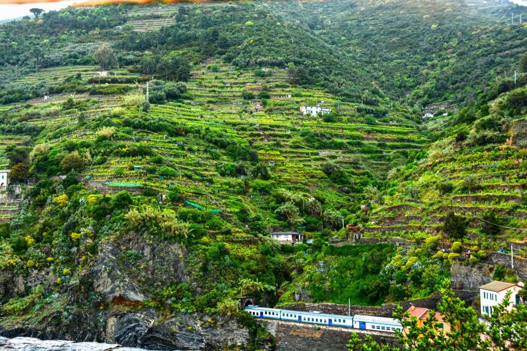 Cinque Terre, Cinque Terre: A Journey through Italy&#8217;s Five Charming Villages