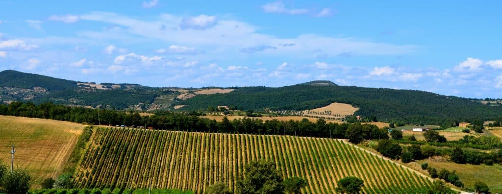 Montepulciano Italy, Montepulciano Italy – Explore it as a Local