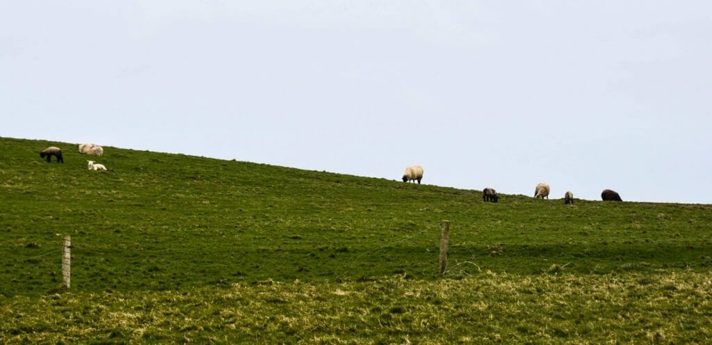 Cliffs of Moher, Cliffs of Moher &#8211; Ireland’s Best Natural Attraction