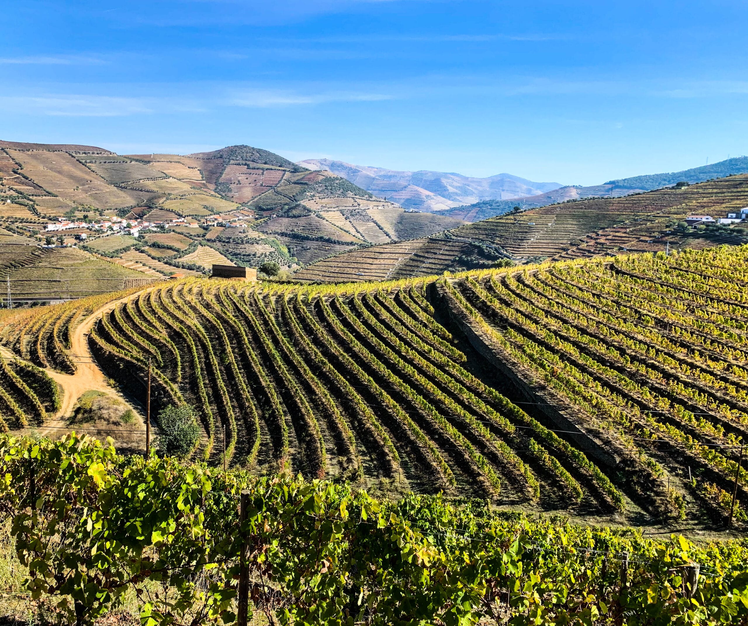 Montepulciano Italy, Douro Valley – The Oldest &#038; Most Beautiful Wine Region in the World