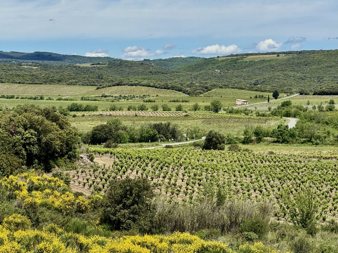 Mas Olivier Winery, Exploring My French Heritage: A Wine Lover&#8217;s Journey Through Mas Olivier Winery and the Languedoc-Roussillon Region