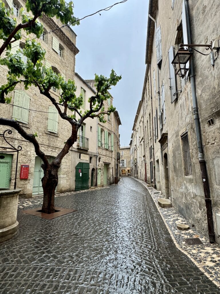 Mas Olivier Winery, Exploring My French Heritage: A Wine Lover&#8217;s Journey Through Mas Olivier Winery and the Languedoc-Roussillon Region