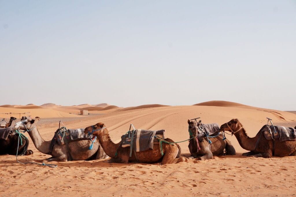 Sahara Desert, Morocco&#8217;s Desert Wonders: Unraveling the Beauty of the Sahara